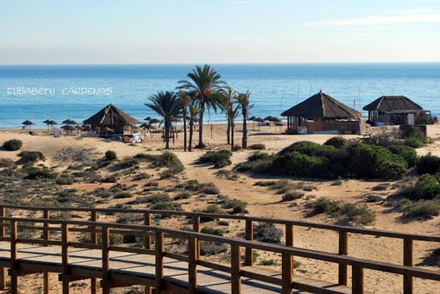 Mediterranean Beach Apartment 180º Sea & Island Views Santa Pola Exterior foto